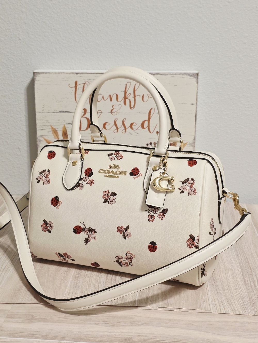 Coach RARE Rowan MEDIUM Crossbody Chalk Ladybug Floral + gold Coach C charm ๐๐ - Picture 6 of 16